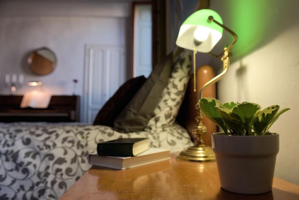 Cozy Apartment With Private Garden - City Center - Floransa Dış mekan fotoğraf